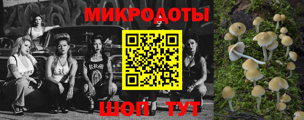 Галлюциногенные грибы прущие грибы  Вход с VPN  Галлюциногенные грибы Cubensis  Барабинск 