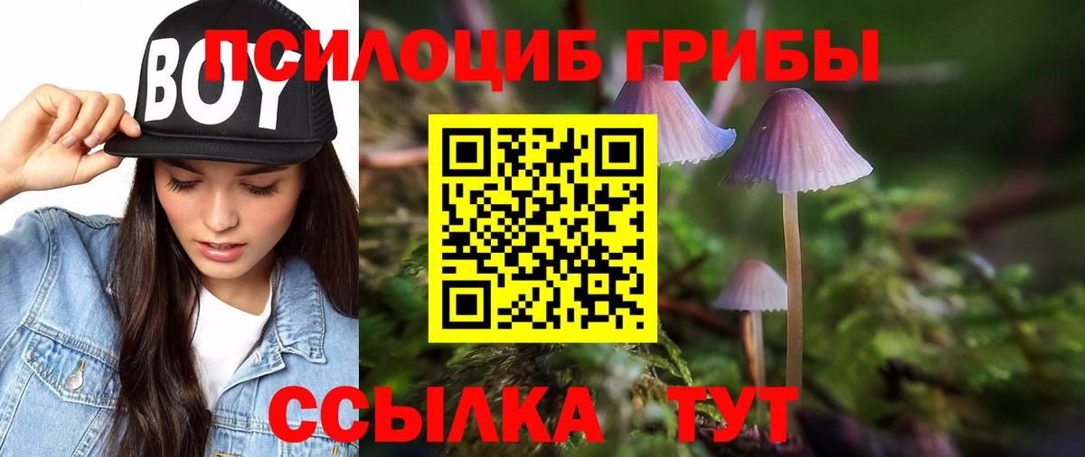 Псилоцибиновые грибы Magic Shrooms Барабинск